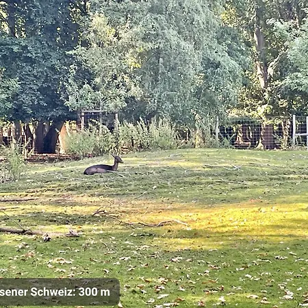 Studio3 Zentral Und Ruhig Mit Parkplatz, 5 Min Z Bali-t Und Gop, Boxspringbett *