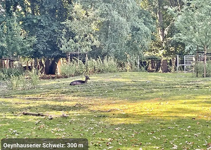 Studio3 Zentral Und Ruhig Mit Parkplatz, 5 Min Z Bali-t Und Gop, Boxspringbett *