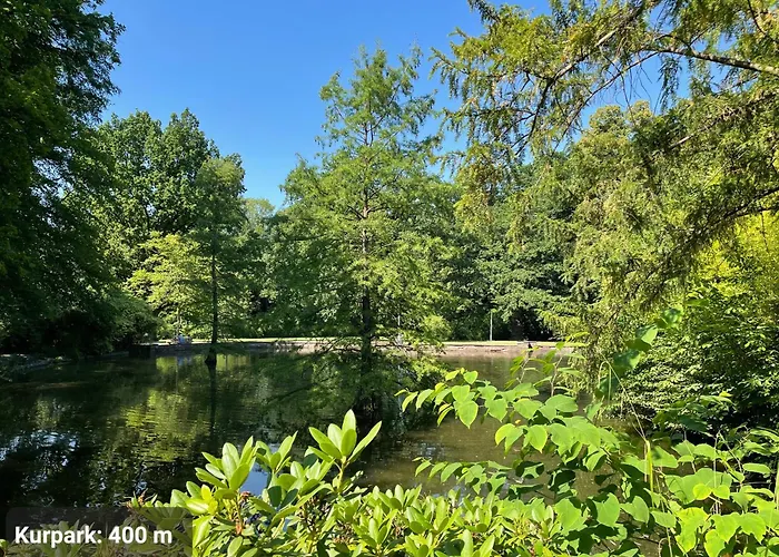 Studio3 Zentral Und Ruhig Mit Parkplatz, 5 Min Z Bali-t Und Gop, Boxspringbett Appartement Bad Oeynhausen